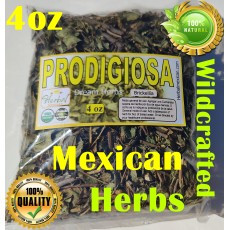 Prodigious Immortelle Herb Tea Brickelia Kalanchoe Pinnata Organic Prodigious : Prodigiosa Siempreviva Hierba Te Brickelia Kalanchoe Pinnata Organica